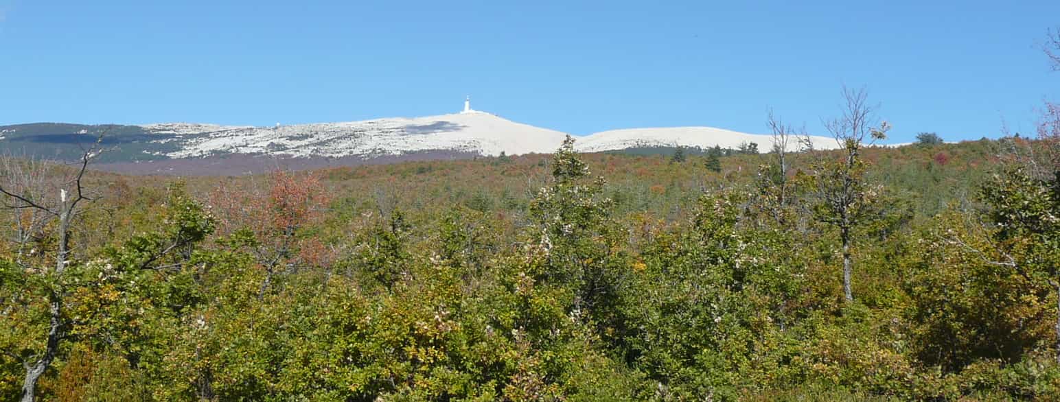 Mont Ventoux par Bédoin photo Vi..Cult...