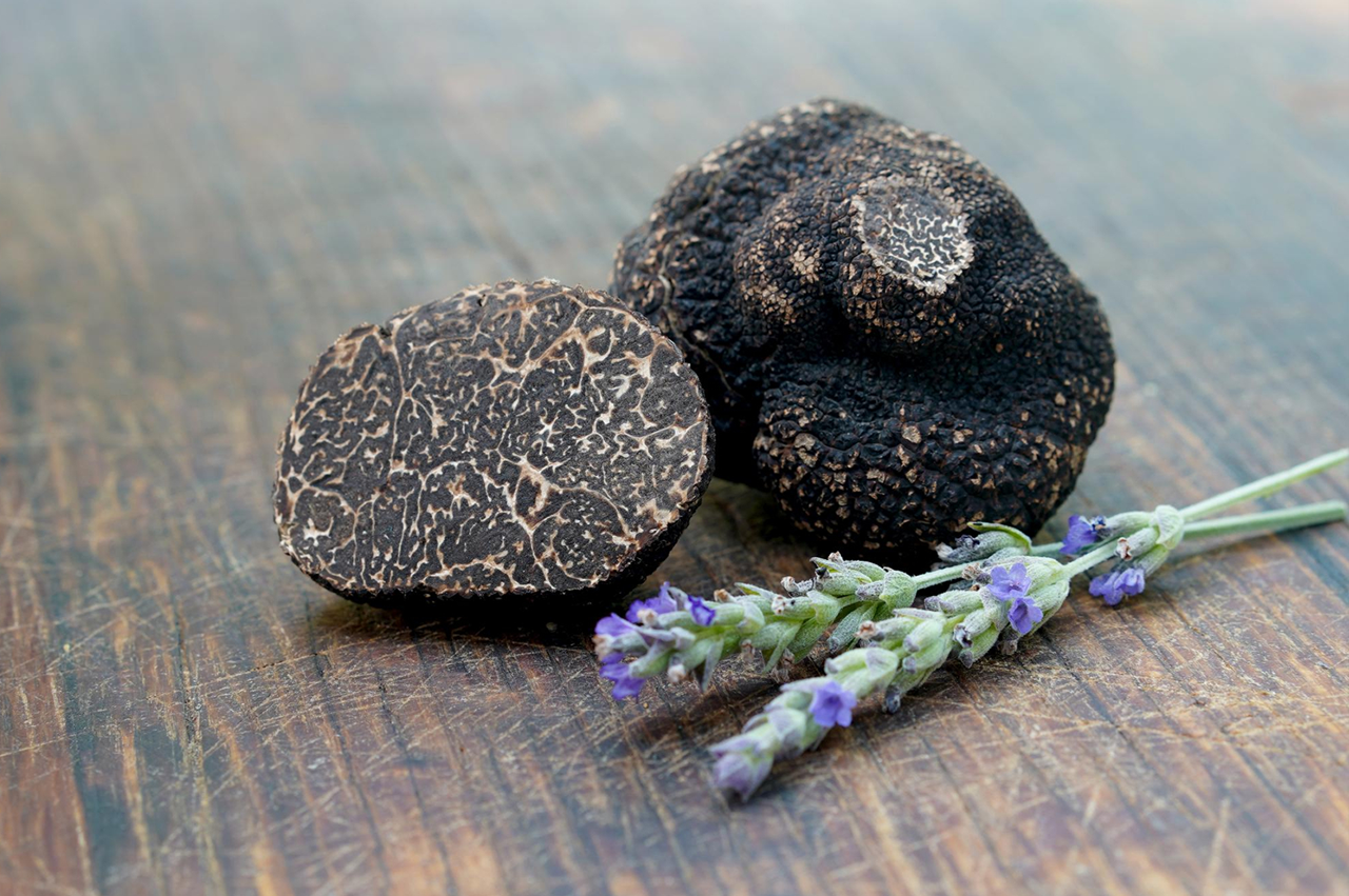 truffe Truffe noire et brin de lavande