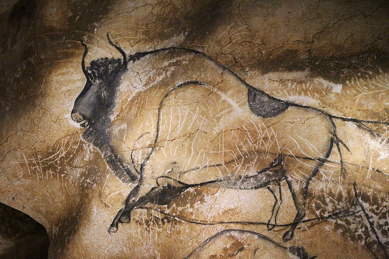 Grand bison, Caverne du Pont d’Arc Grand bison. Dessin au charbon de bois avec estompe, détourage au silex. Caverne du Pont d’Arc (copie de la Grotte Chauvet)